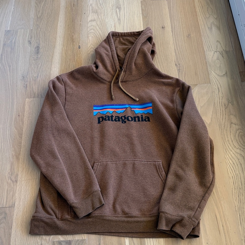 Patagonia Brown Hoodie for Men